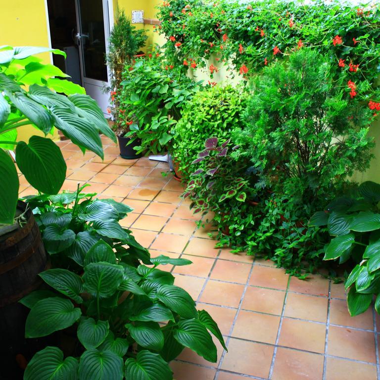 Hostal Escartin Sabinanigo Exterior photo